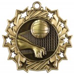 JDS-Ten Star Medal - Volleyball