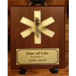 Star of Life Plaque copy